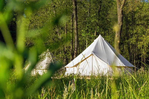Traditional canvas bell tent outdoors in woods — Stock Photo, Image