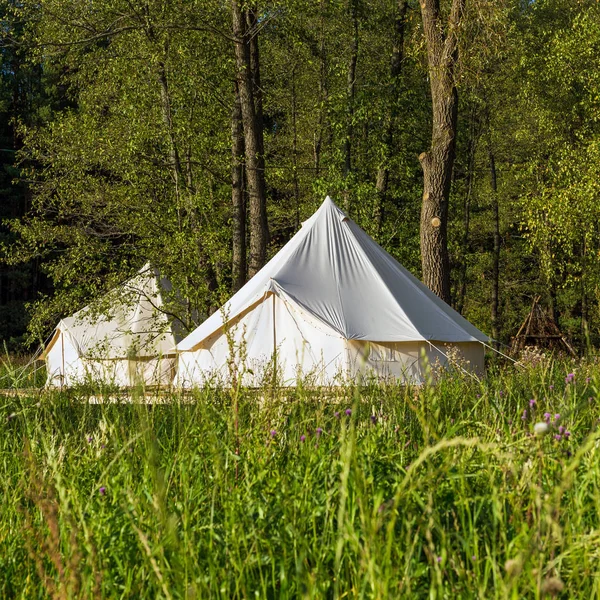 Traditional canvas bell tent outdoors in woods