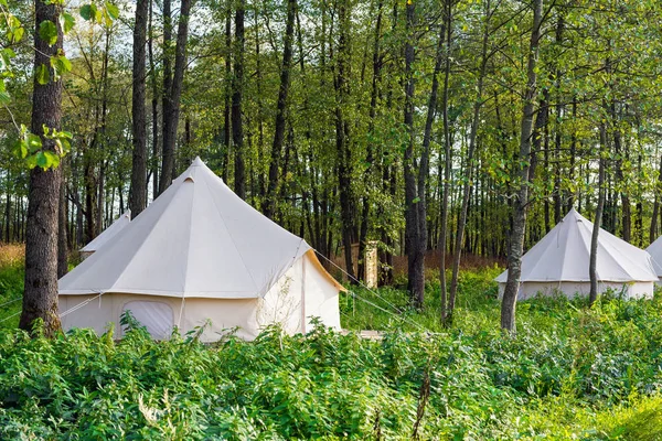 Glamping Bell Sátrak Erdő Csoportja — Stock Fotó