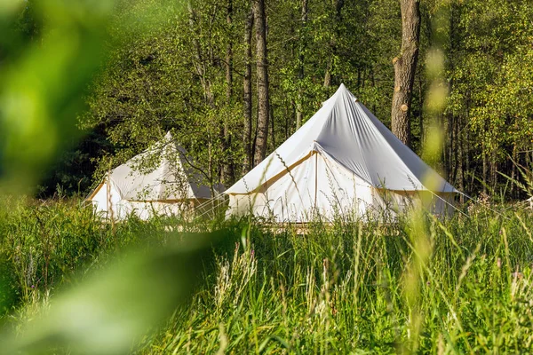 Bell tents outdoors at forest landscape — Stock Photo, Image