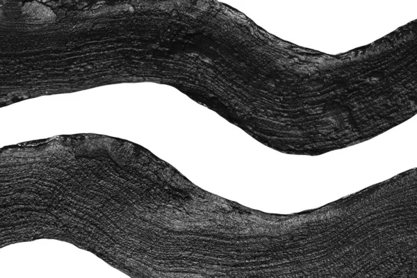 Black paint strokes isolated on a white background — Stock Photo, Image