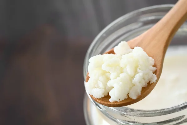 Kefir 谷物上的木勺顶部的 Kefir 拍摄的自然光 选择性焦点 集中在 Kefir 谷物中间 — 图库照片