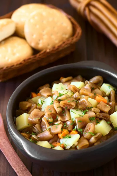 Estofado Tradicional Chileno Guiso Cochayuyo Lat Durvillaea Antarctica Guiso Vegano — Foto de Stock