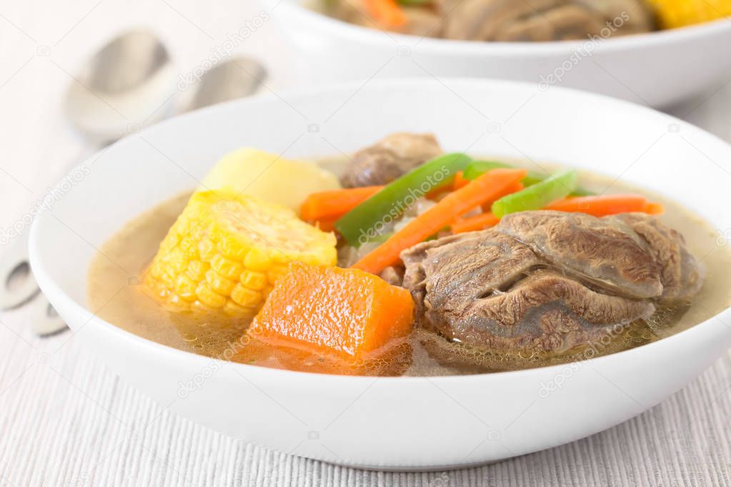 Traditional Chilean Cazuela de Vacuno or Cazuela de Carne, a beef soup with potato, corn, pumpkin, carrot, bell pepper, onion and rice, photographed with natural light (Selective Focus, Focus on the front of the meat and the pumpkin)