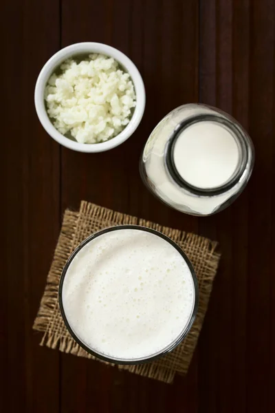 Frisches Hausgemachtes Kefir Getränk Glas Mit Kefir Körnern Und Milch — Stockfoto