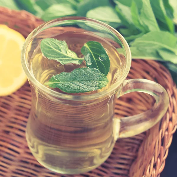 Freshly Prepared Mint Herbal Tea Glass Garnished Mint Leaves Selective — Stock Photo, Image