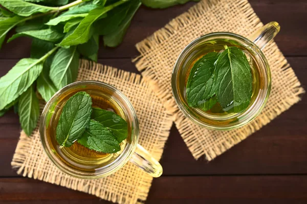 Freshly Prepared Mint Herbal Tea Glasses Garnished Mint Leaves Photographed — Stock Photo, Image
