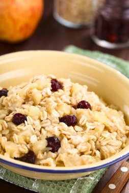 Taze ev yapımı vegan elması, yulaf ezmesi, kızılcık ve tarçın lapası, arkada malzemeler (Seçici Odak, yulaf lapasının ortasına odaklan)