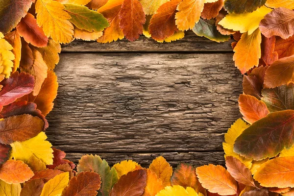 Kolorowe Jesienne Liście Rustykalnej Powierzchni Drewnianej Tworząc Ramkę Wokół Przestrzeni — Zdjęcie stockowe