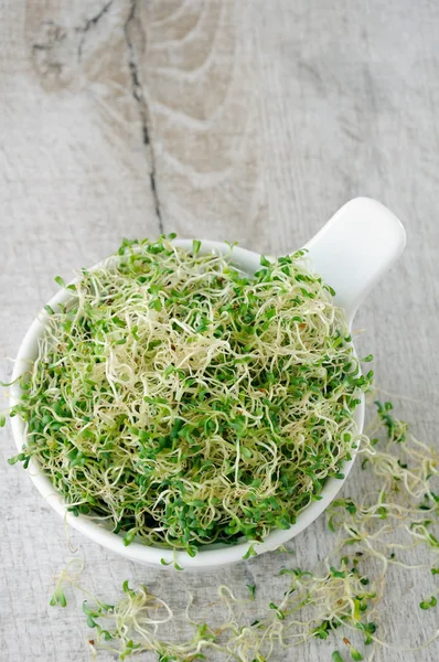 Micro Verduras Rápido Crecimiento Para Ensaladas Durante Todo Año —  Fotos de Stock