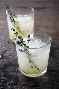 Cin, limon suyu veya limon suyu ve notlar kekik temelinde kokteyl. Bir kokteyl serinletici ile kendinizi şımartın 