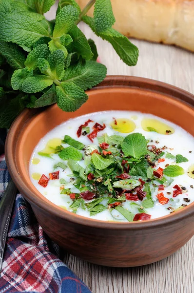 Sopa de iogurte com hortelã — Fotografia de Stock