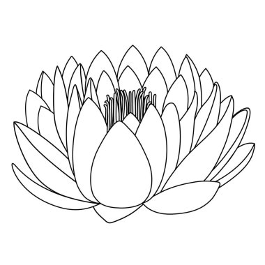 Lotus desen çiçeği beyaz zemin üzerine (vektör illüstrasyon izole özetlenen)