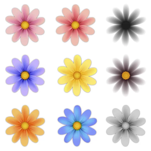 Pattern Flower Five Petal Set Isolated Background Vector Illustration — Stock Vector