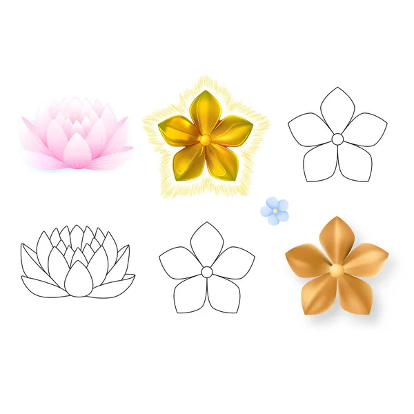 Roze Lotus Forget Patroon Bloem Geïsoleerd Witte Achtergrond Vectorillustratie Instellen — Stockvector