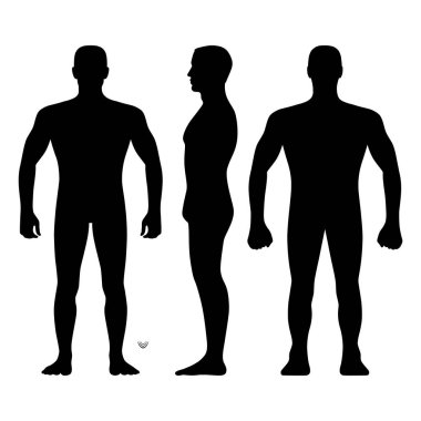 Adam vücut tam uzunlukta kel şablon şekil siluet (ön, arka ve yan sayısı) moda, illüstrasyon izole beyaz arka plan üzerinde vektör