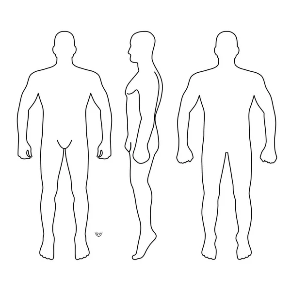 Moda Hombre Cuerpo Longitud Completa Calva Figura Silueta Frente Espalda — Vector de stock