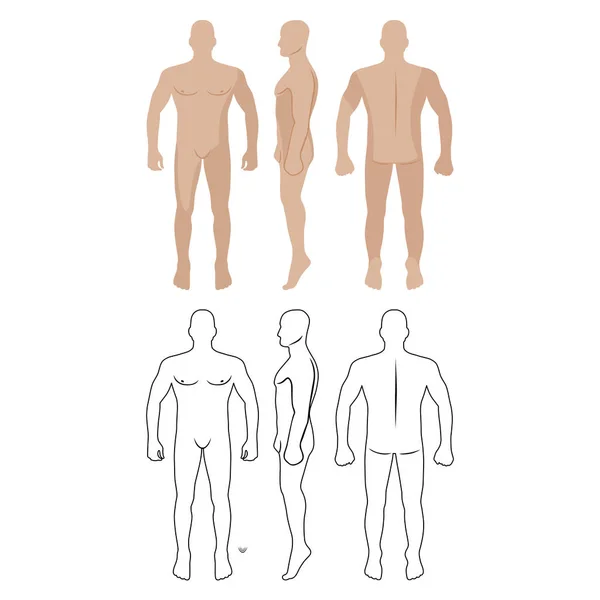 Moda Hombre Cuerpo Longitud Completa Calva Figura Silueta Frente Espalda — Vector de stock