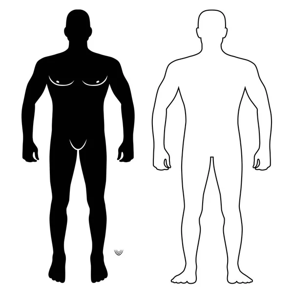 Mode Homme Corps Pleine Longueur Vue Face Chauve Figure Modèle — Image vectorielle