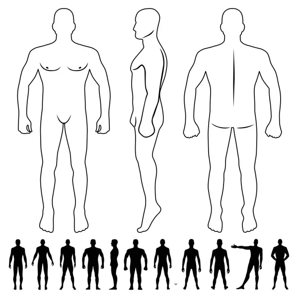 Moda Uomo Corpo Figura Figura Figura Calva Lunghezza Intera Anteriore — Vettoriale Stock