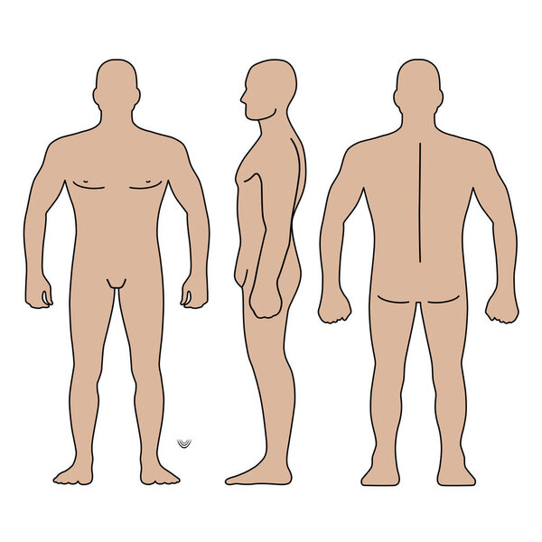 Fashion man body full length bald template figure silhouette (front, back and side views), vector illustration isolated on white background