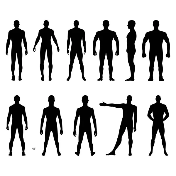 Moda Hombre Cuerpo Longitud Completa Calva Figura Silueta Frente Espalda — Vector de stock