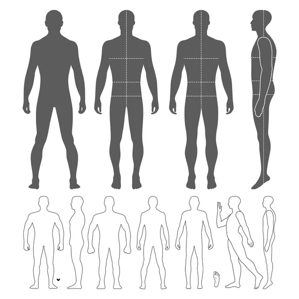 Moda Hombre Cuerpo Longitud Completa Calva Figura Silueta Frente Espalda — Vector de stock