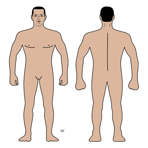 Moda Hombre Cuerpo Longitud Completa Figura Silueta Frente Vistas Atrás — Vector de stock