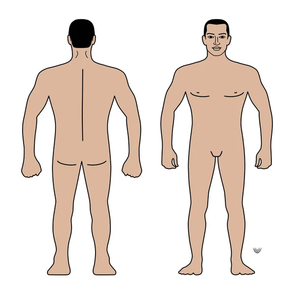 ファッション男体全長テンプレート図シルエット 白い背景で隔離のベクトル図 — ストックベクタ