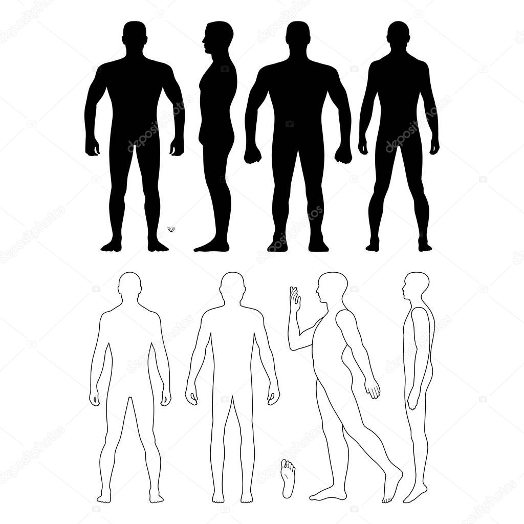 Fashion man body full length bald template figure silhouette (front, back and side views), vector illustration isolated on white background