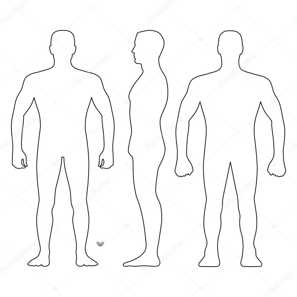 Fashion man body full length bald template figure silhouette (front, back and side views), vector illustration isolated on white background