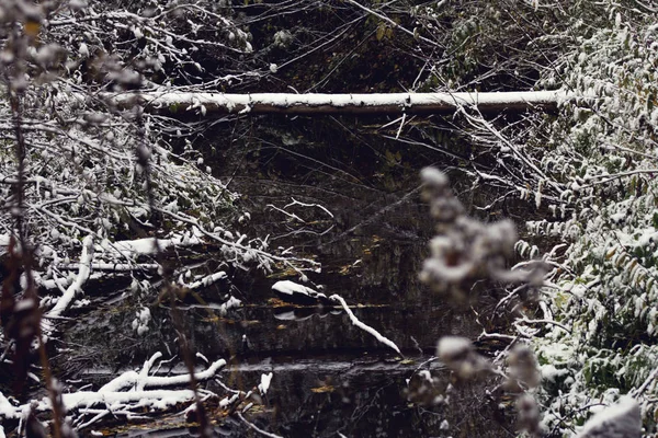 Spätherbst Fluss Und Wald Winter Schnee — Stockfoto