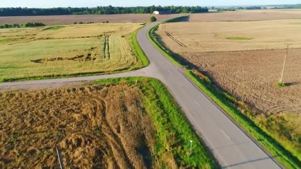 夏の畑では、道路上のフライトします。 — ストック動画