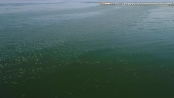 Vista aérea del pequeño hielo en el mar — Vídeo de stock