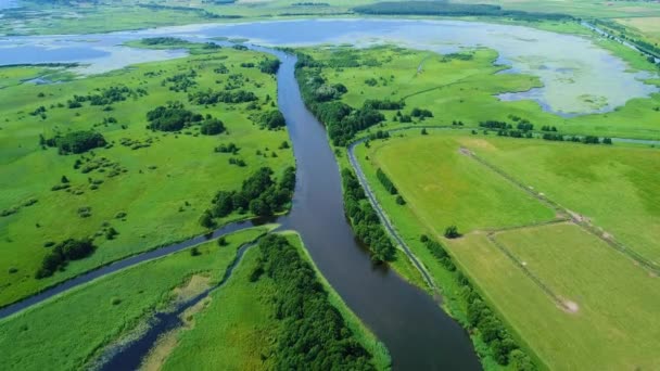 Flug über Fluss in Wiesen — Stockvideo