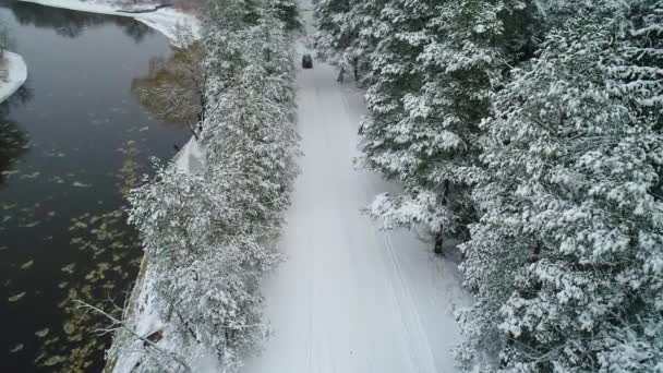 Letecký pohled na auta v zimě lese — Stock video