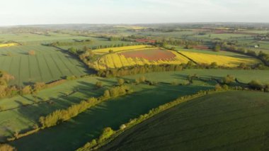 puslu sabah kuşları alanlarında görünümü göz