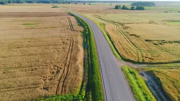 Vuelo sobre carretera en el campo de verano — Vídeos de Stock