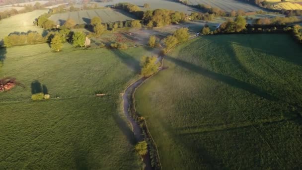 champs brumeux le matin oiseaux vue 