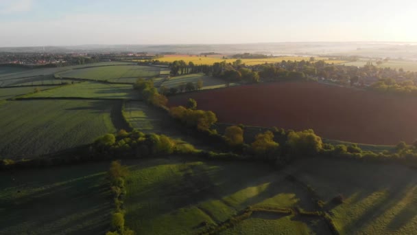 Champs brumeux le matin oiseaux vue — Video