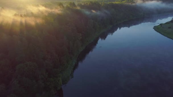 Aerial landcape of river in green meadows — Stock Video