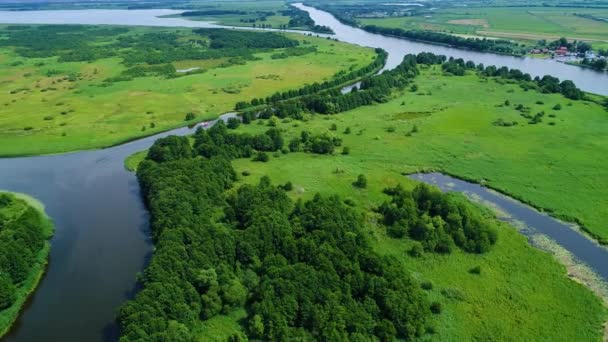 Vol au-dessus de la rivière dans les prairies — Video