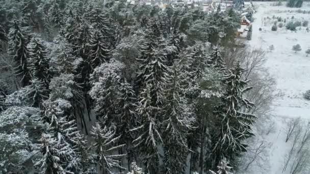 Vista aérea del bosque nevado de invierno — Vídeo de stock