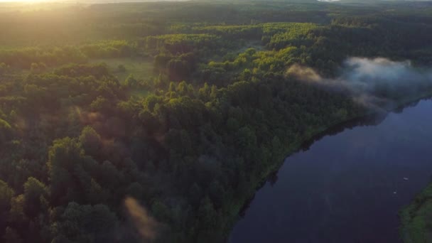 Luchtfoto Systembolaget van rivier in groene weiden — Stockvideo