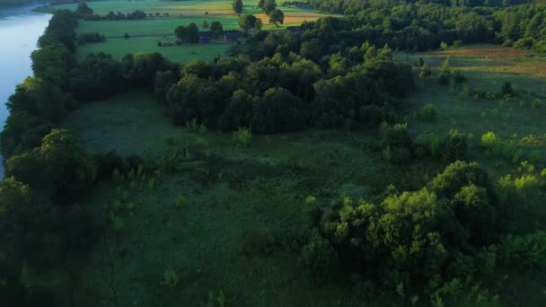 Légi landcape-folyó partján, zöld rétek — Stock videók
