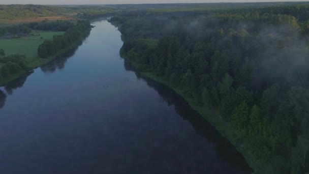 Luchtfoto Systembolaget van rivier in groene weiden — Stockvideo