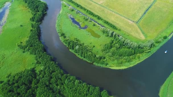 Flug über Fluss in Wiesen — Stockvideo