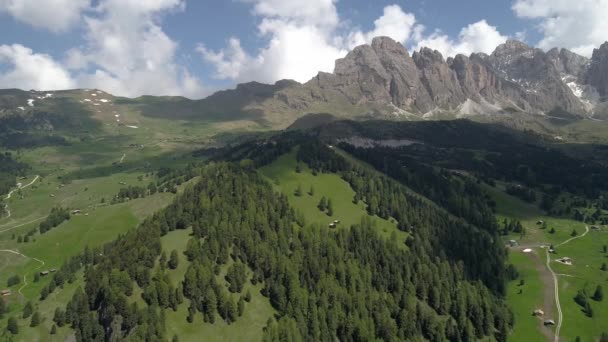 Flug über Wald in den Bergen — Stockvideo