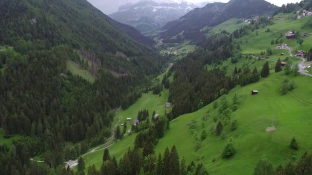 Flug über Wald in den Bergen — Stockvideo