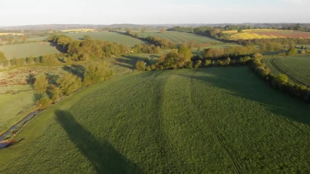 Mistige velden in ochtend birds eye view — Stockvideo